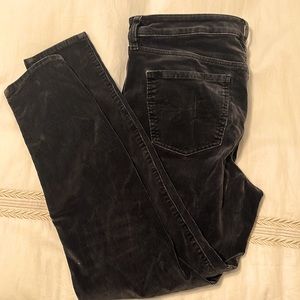 American eagle cords